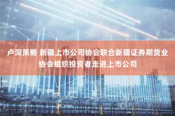 卢深策略 新疆上市公司协会联合新疆证券期货业协会组织投资者走进上市公司