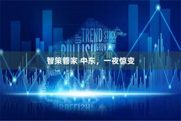 智策管家 中东，一夜惊变