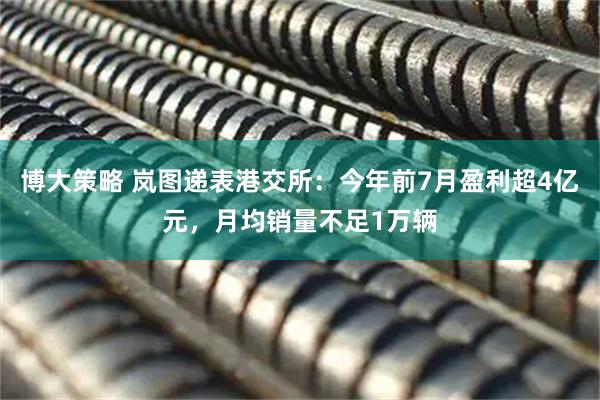 博大策略 岚图递表港交所：今年前7月盈利超4亿元，月均销量不足1万辆