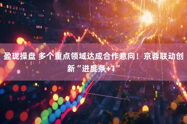 盈珑操盘 多个重点领域达成合作意向！京蓉联动创新“进度条+1”