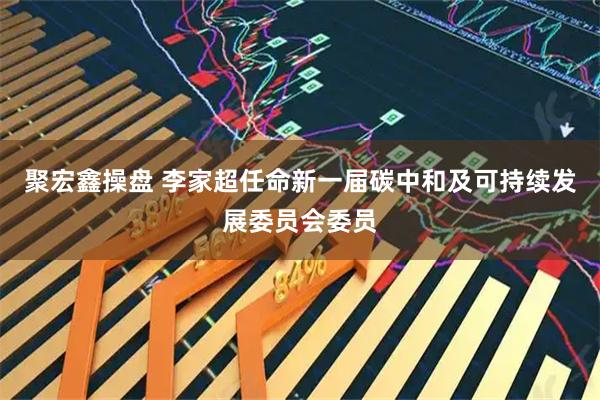 聚宏鑫操盘 李家超任命新一届碳中和及可持续发展委员会委员