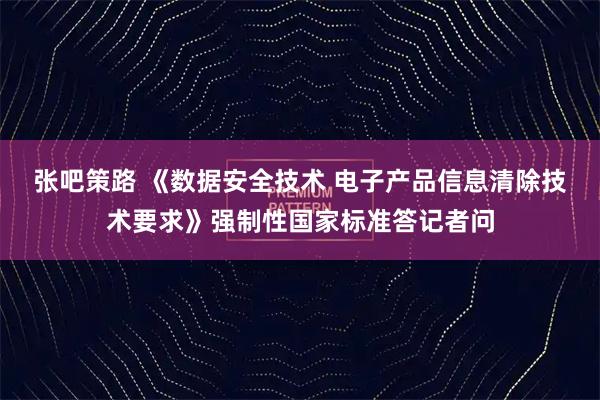 张吧策路 《数据安全技术 电子产品信息清除技术要求》强制性国家标准答记者问