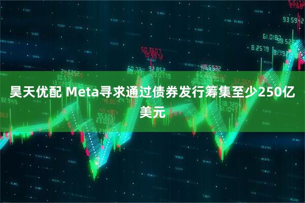 昊天优配 Meta寻求通过债券发行筹集至少250亿美元